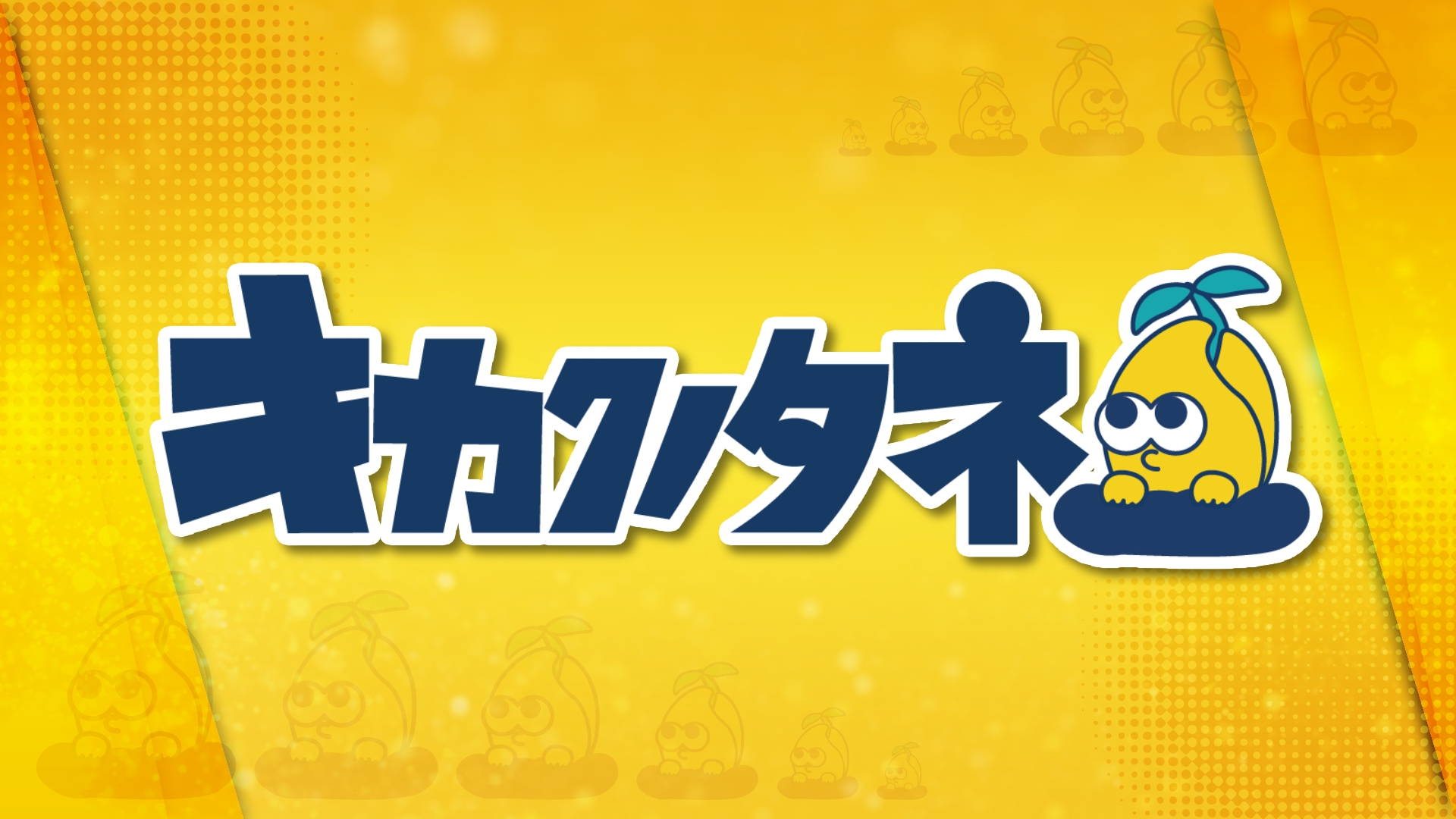 無料テレビでキカクノタネを視聴する
