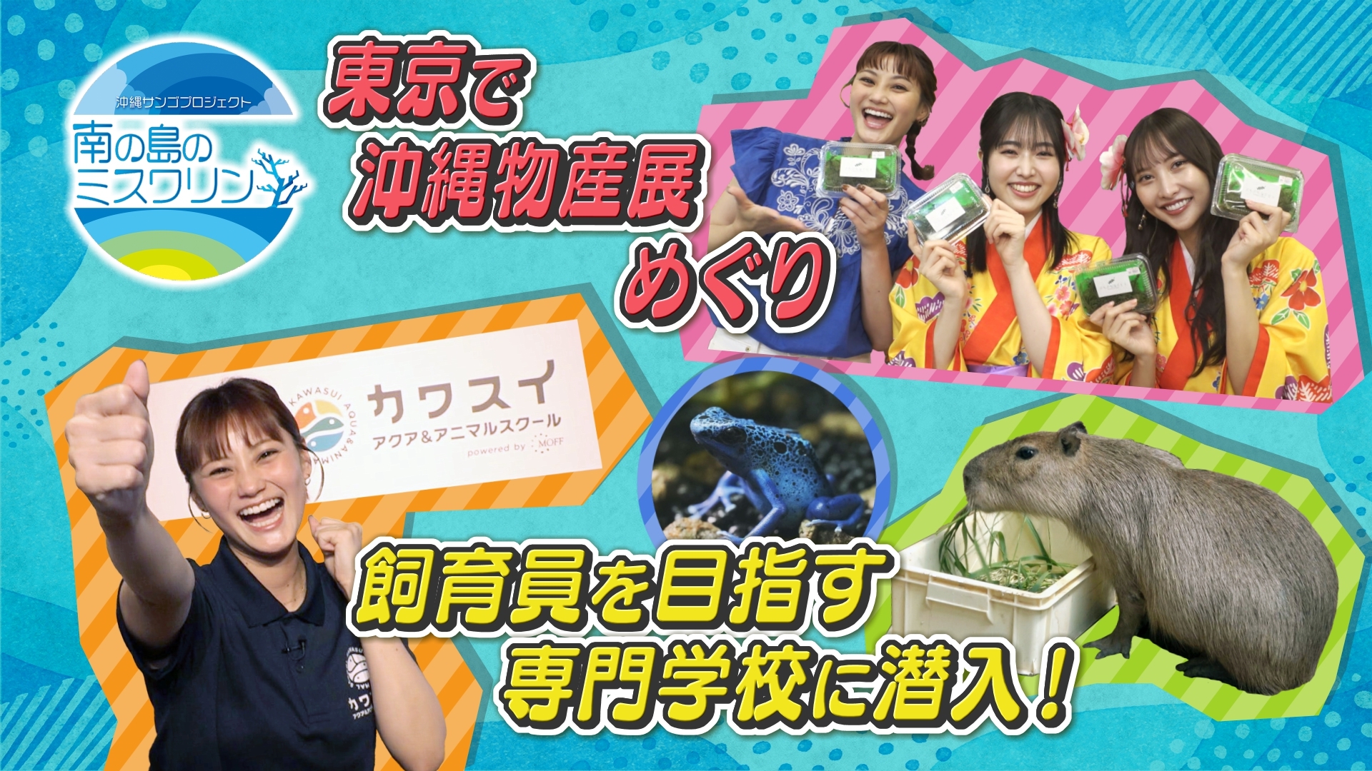 無料テレビで南の島のミスワリンを視聴する