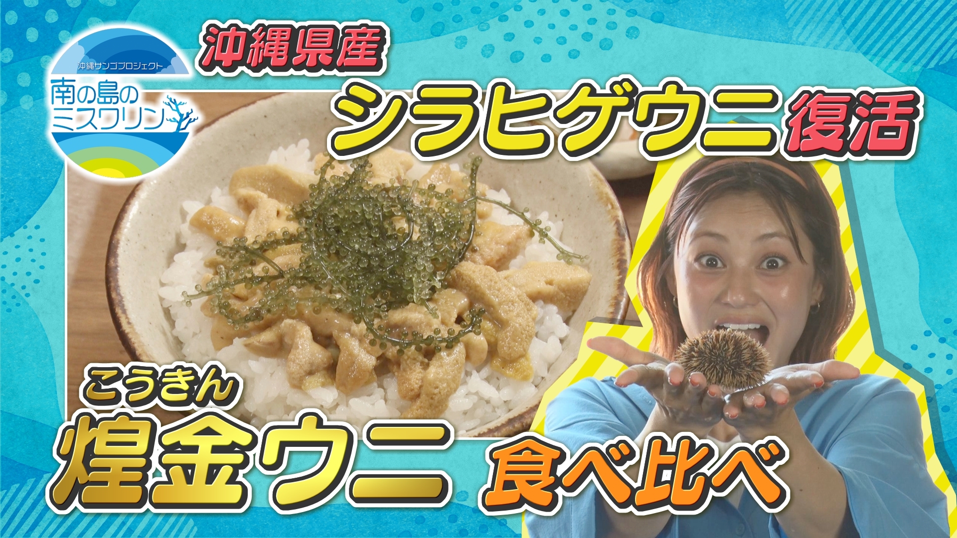 無料テレビで南の島のミスワリンを視聴する