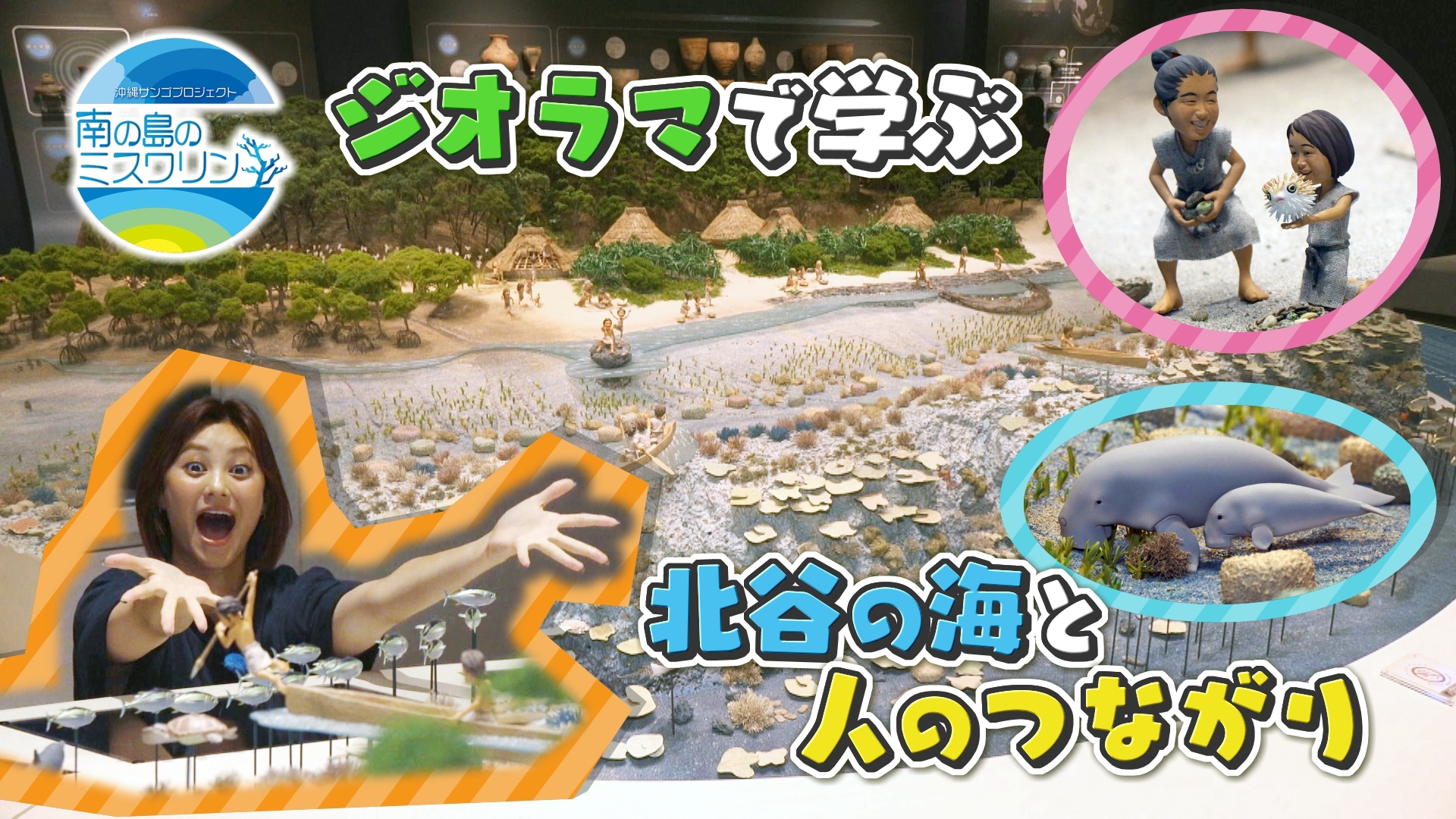 無料テレビで南の島のミスワリンを視聴する