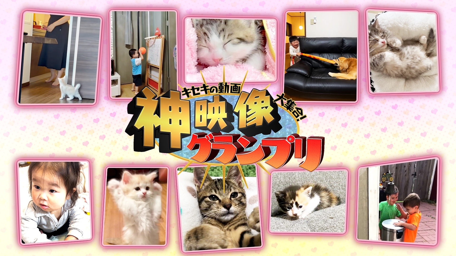 無料テレビでキセキの動画大集合！“神”映像グランプリを視聴する
