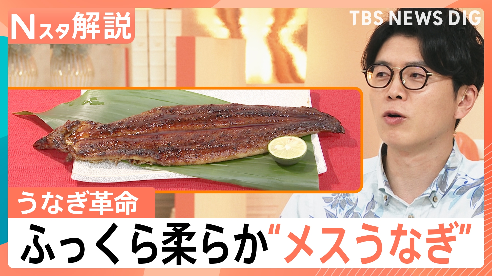 TBS NEWS DIG Powered by JNN うなぎ革命 ふっくら柔らか“メスうなぎ