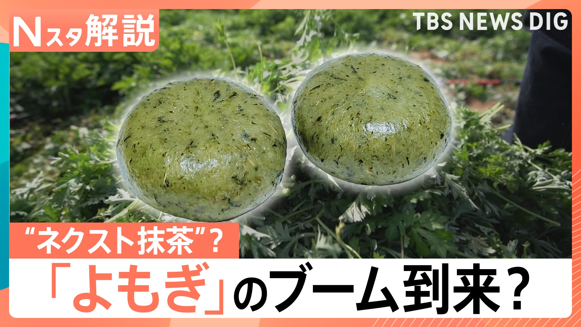 無料テレビでTBS NEWS DIG Powered by JNNを視聴する