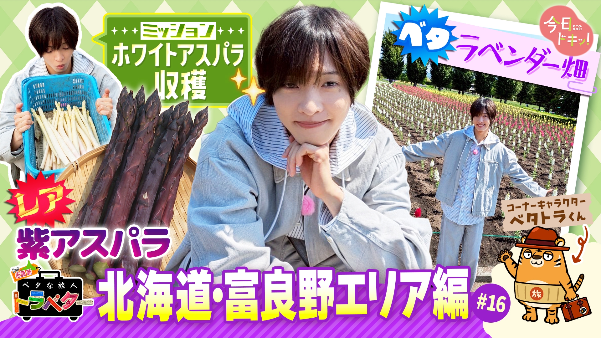 無料テレビでベタな旅人トラベター（今日ドキッ！）を視聴する