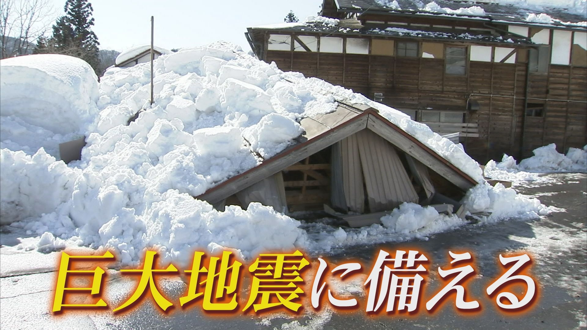 無料テレビで我が家の耐震大作戦！～家族を守る家づくり～を視聴する