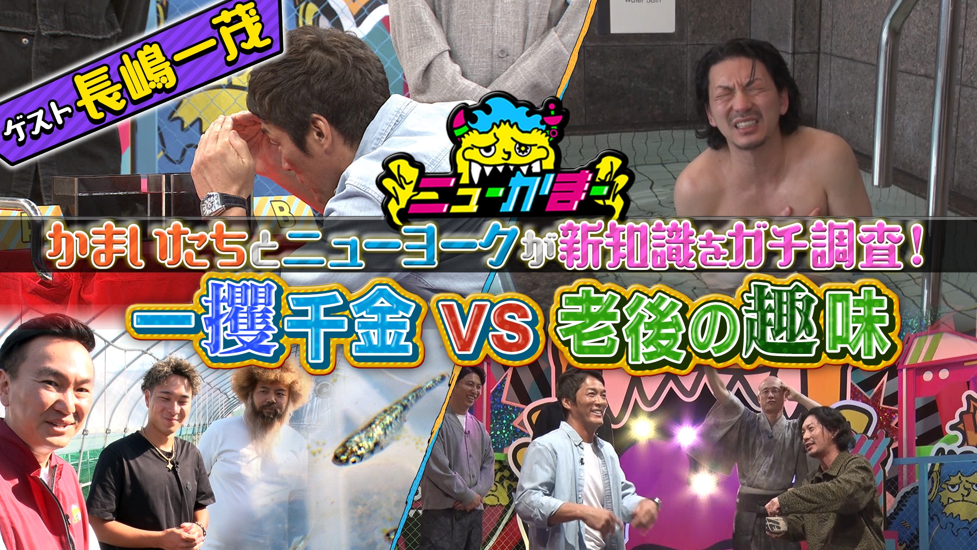 無料テレビでニューかまーを視聴する