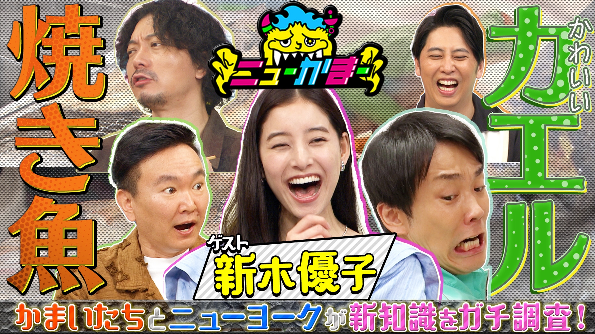 無料テレビでニューかまーを視聴する