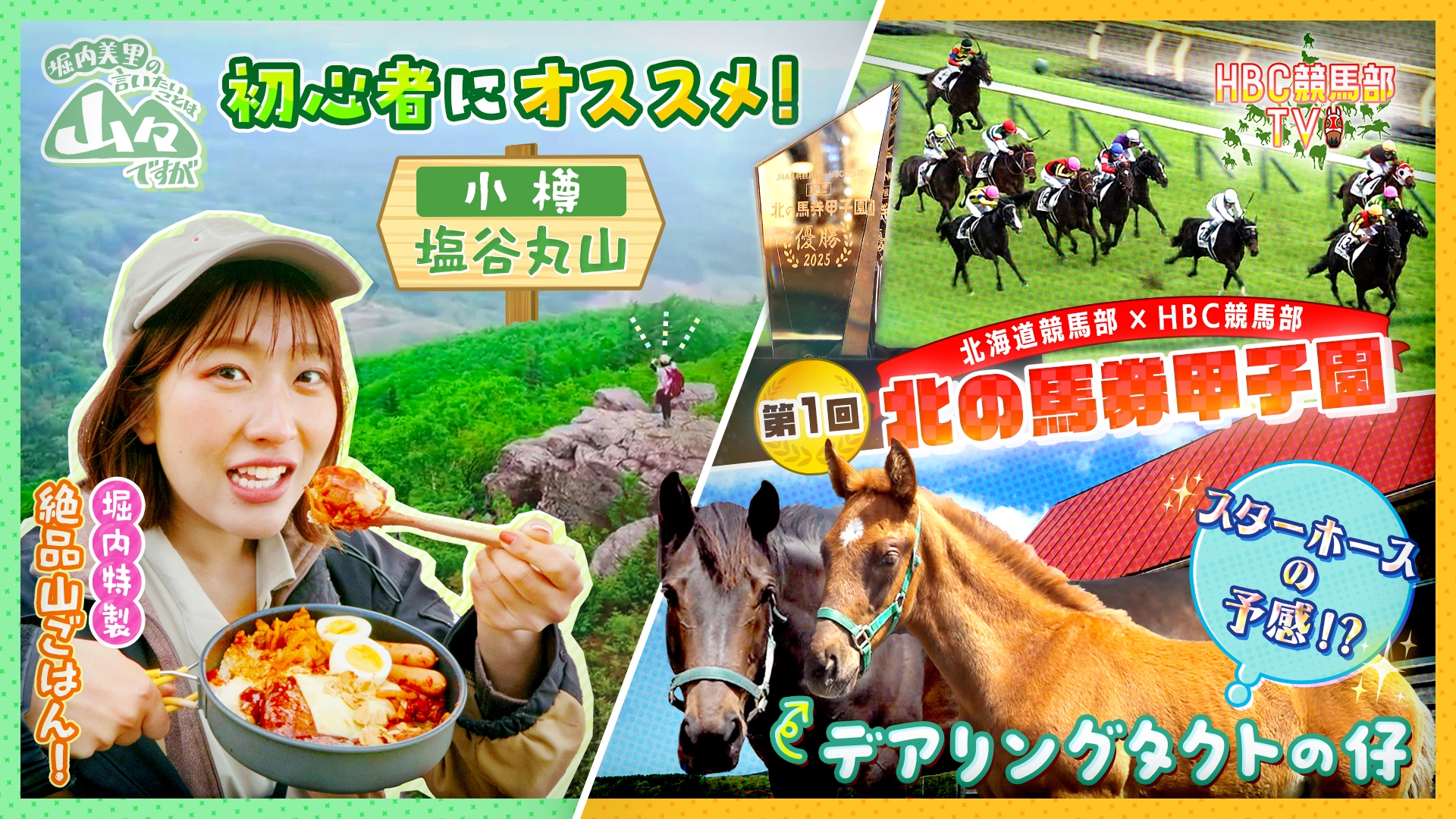無料テレビでもんすけチョイス！を視聴する