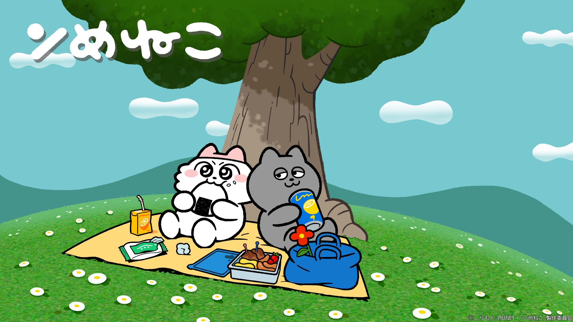 無料テレビでンめねこを視聴する