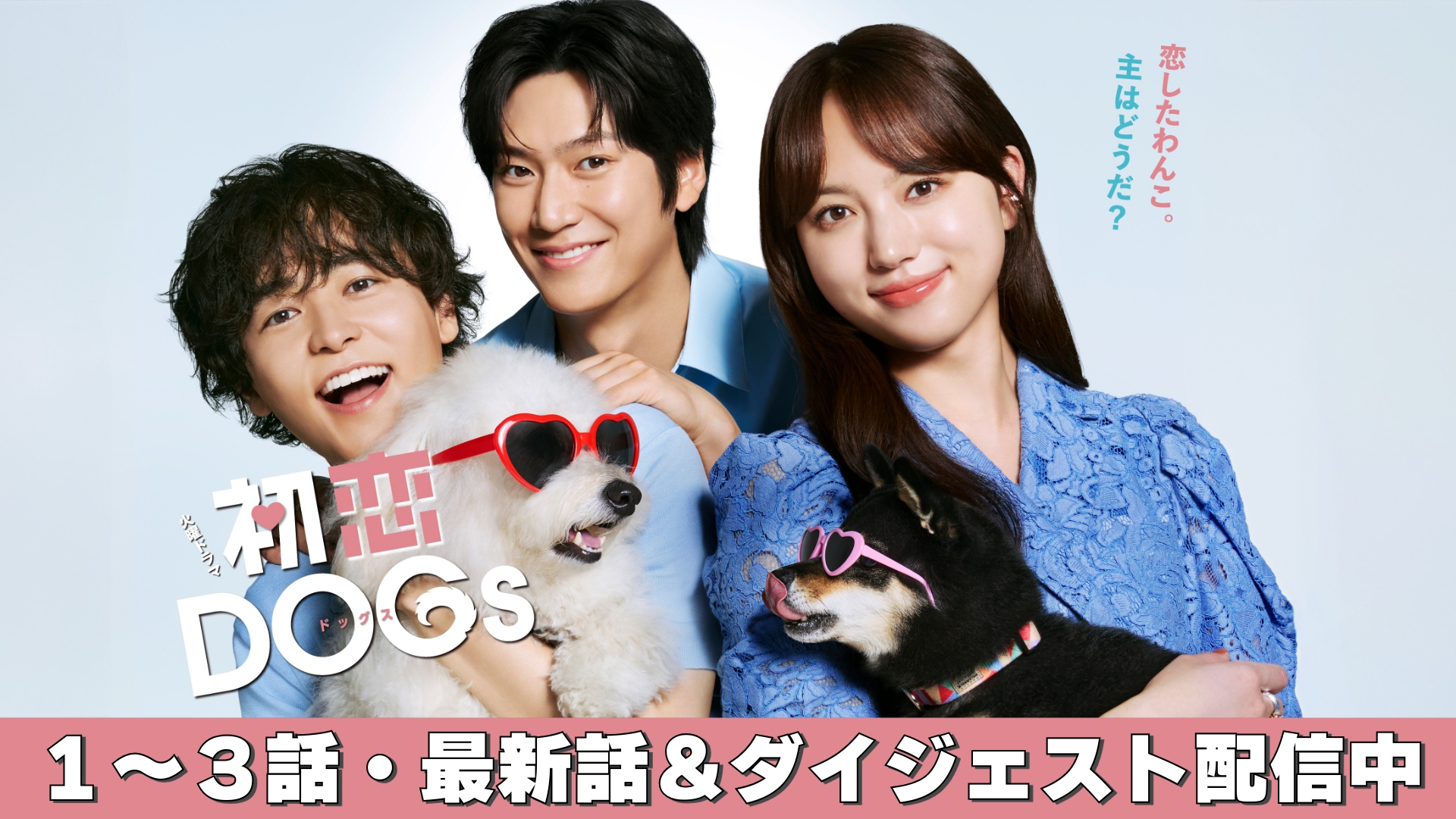 無料テレビで初恋DOGsを視聴する