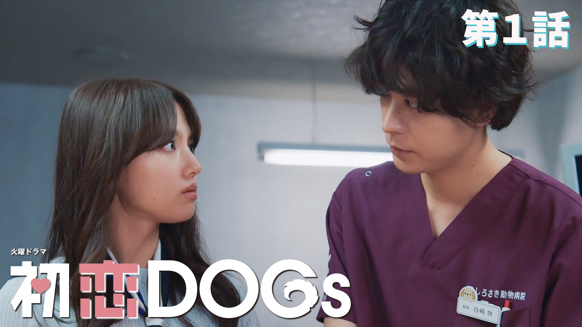 無料テレビで初恋DOGsを視聴する