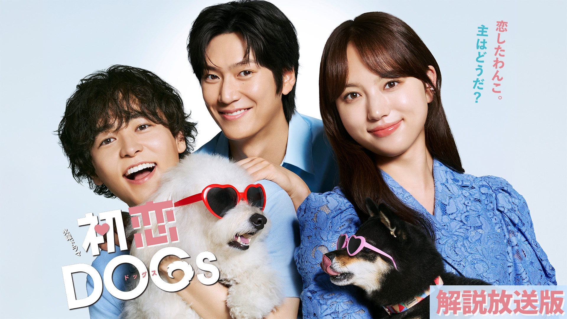 無料テレビで【解説放送版】初恋DOGsを視聴する