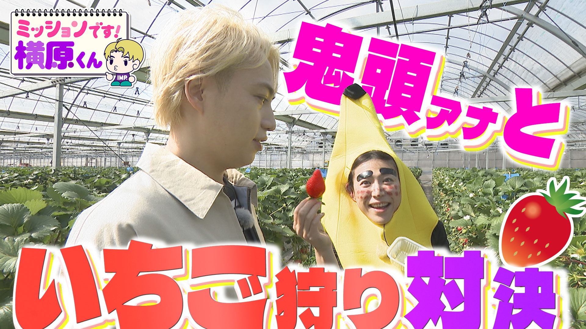 無料テレビでミッションです！横原くん（Soleいいね！）を視聴する