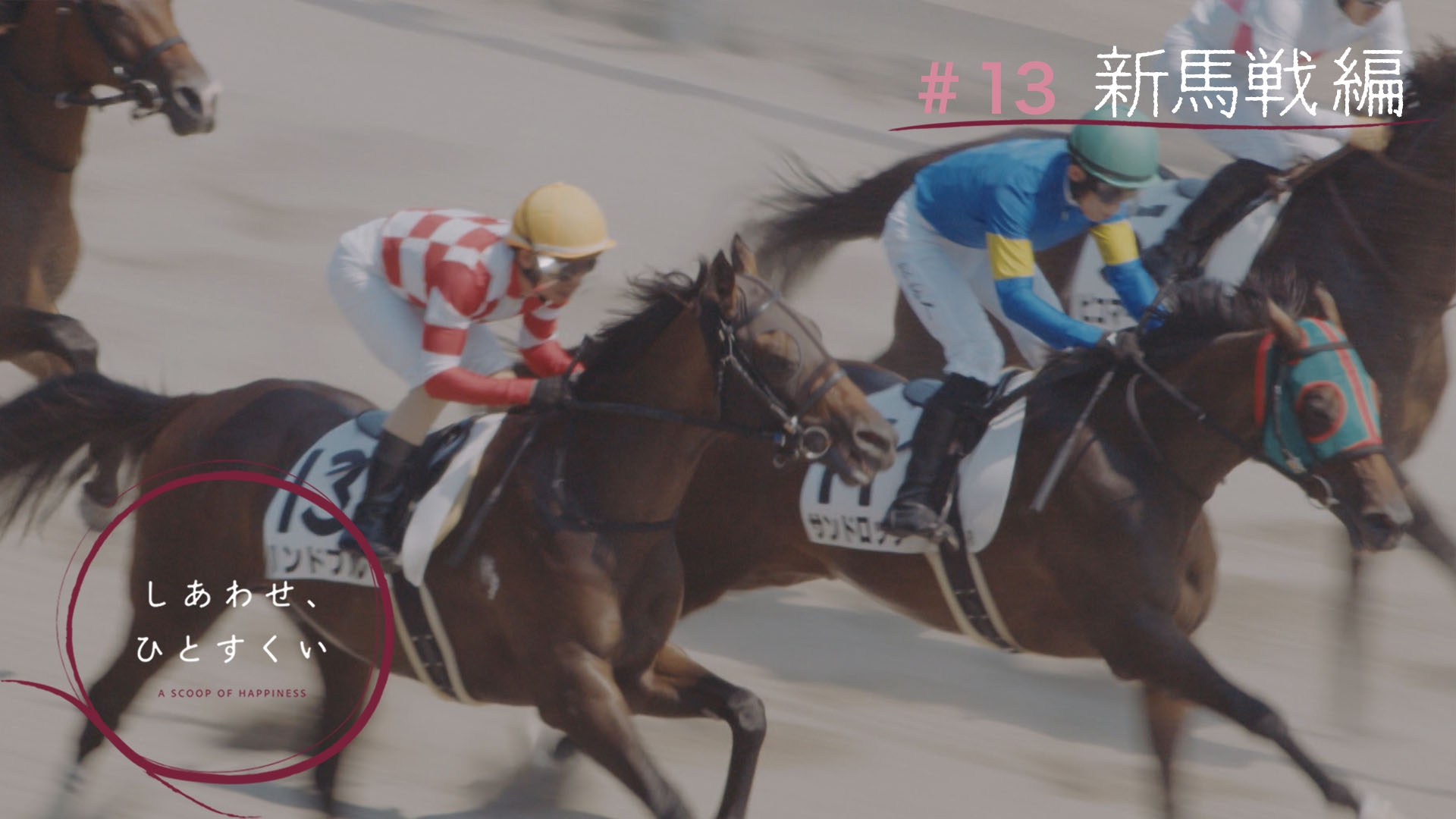 無料テレビでしあわせ、ひとすくいを視聴する