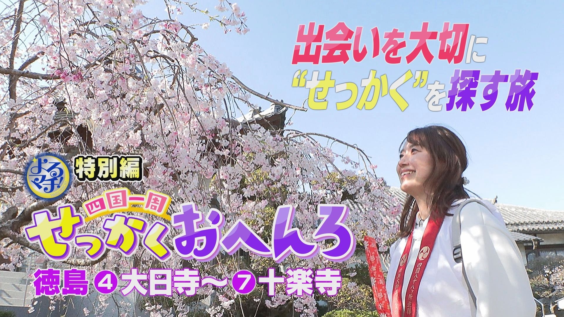 無料テレビで四国一周せっかくおへんろを視聴する