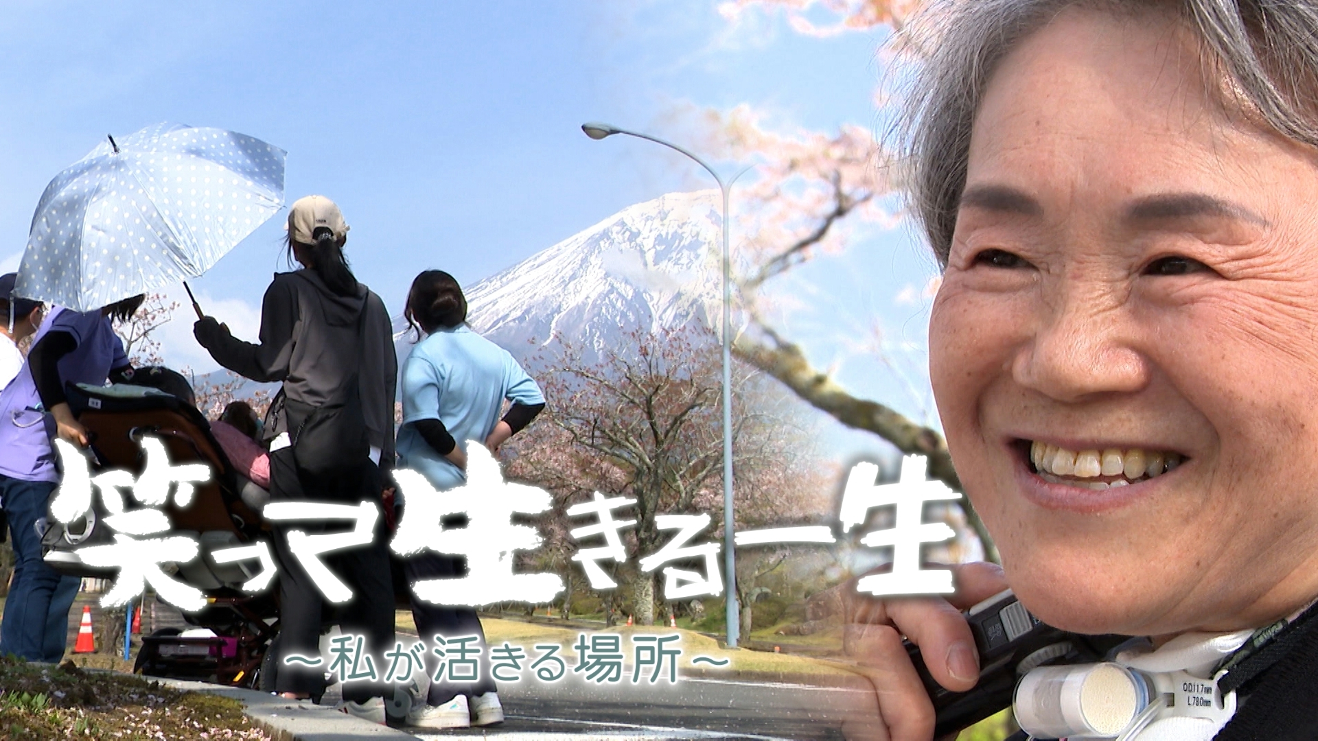 無料テレビで笑って生きる一生を視聴する