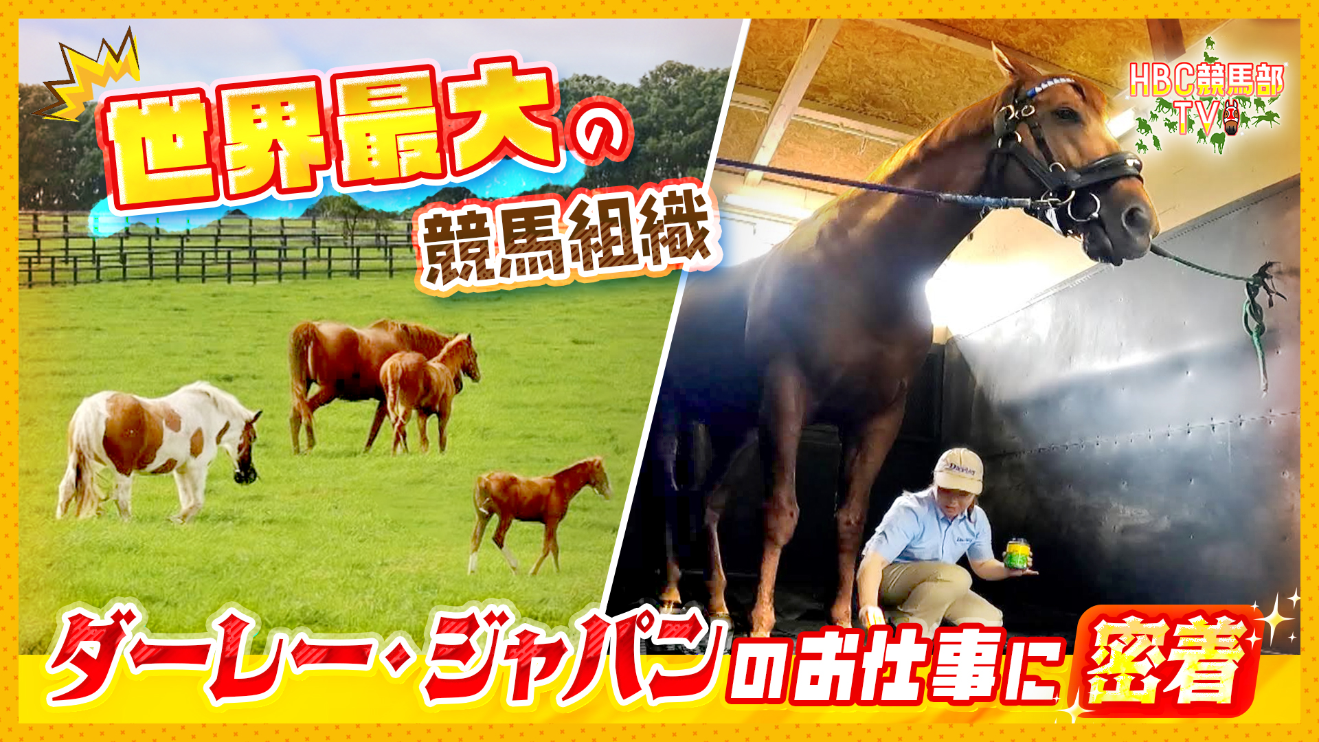 無料テレビでＨＢＣ競馬部ＴＶを視聴する