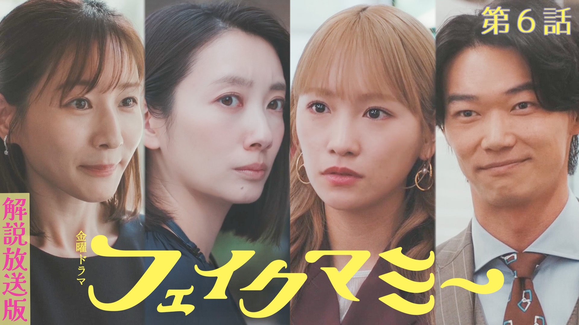 無料テレビで【解説放送版】フェイクマミーを視聴する