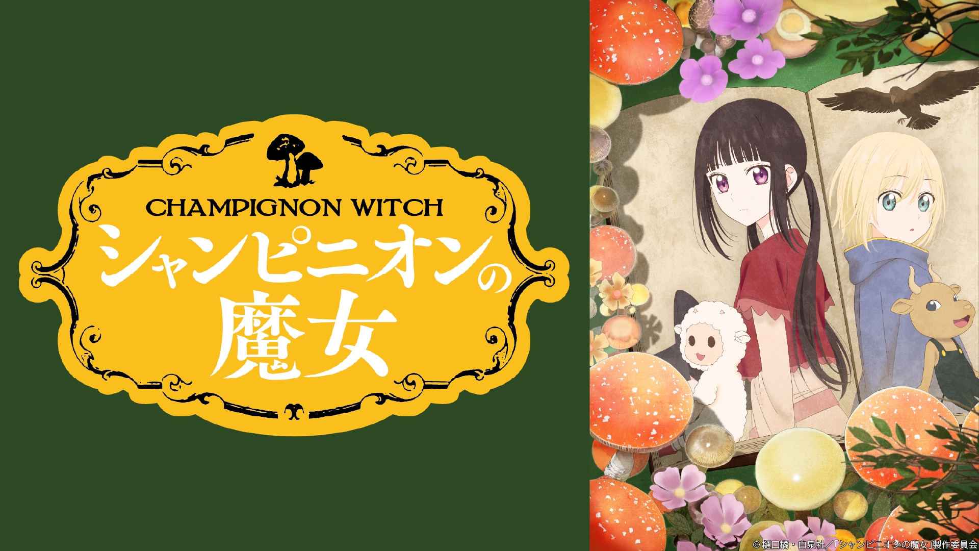 シャンピニオンの魔女 サイン台本 シャンピニオンの魔女 7 樋口 橘(著