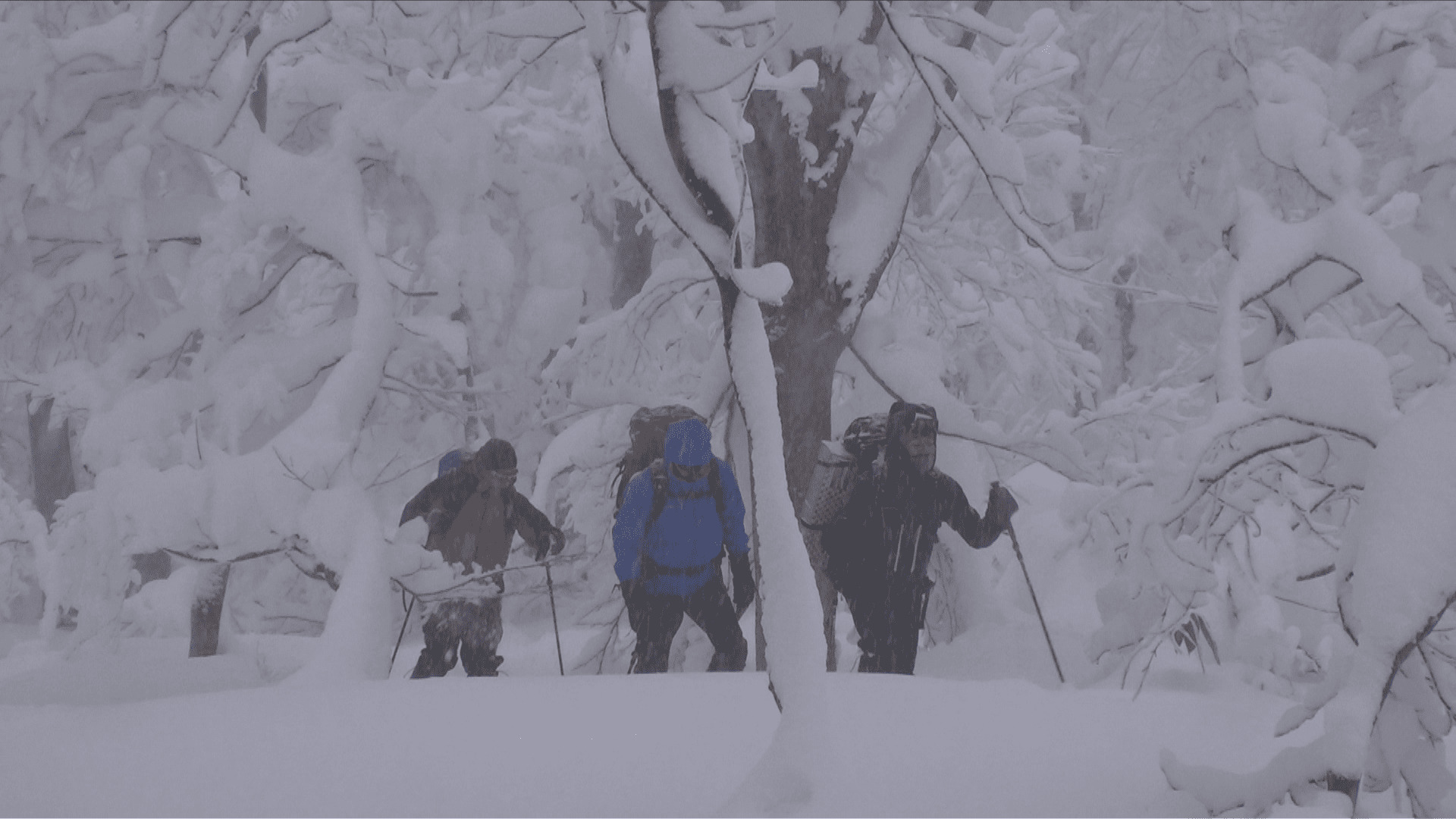 無料テレビでPEAK HUNT 東野登山隊を視聴する