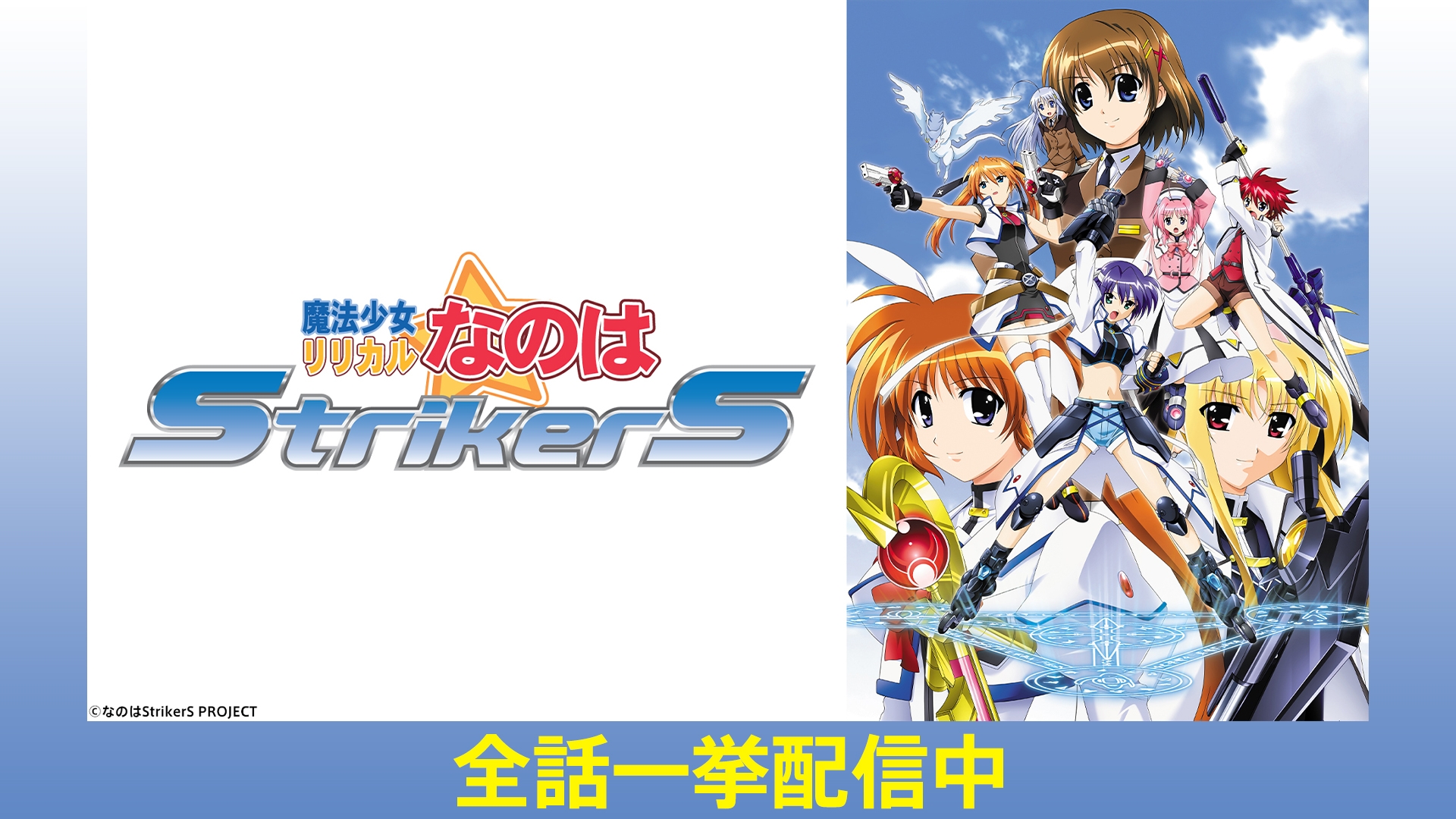 スリーブ　魔法少女リリカルなのはStrikerS　金銀キャンペーン　９個 スリーブ 魔法少女リリカルなのはStrikerS 金銀キャンペーン 9個