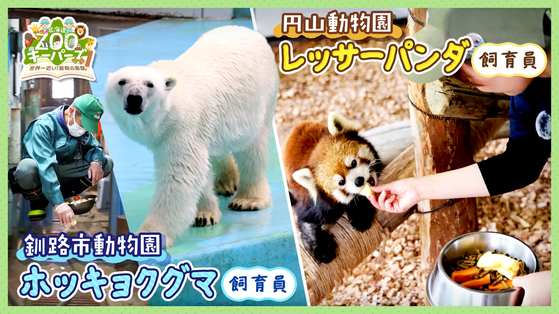 無料テレビで北海道ZOOキーパーズ～世界一近い！動物の素顔～を視聴する