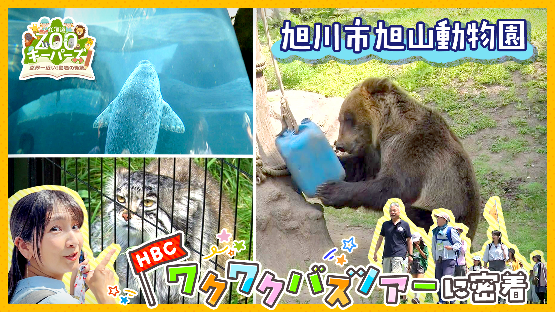 無料テレビで北海道ZOOキーパーズ～世界一近い！動物の素顔～を視聴する