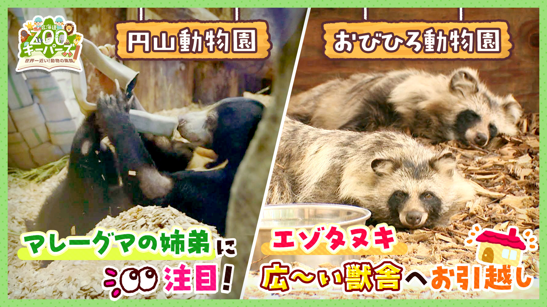 無料テレビで北海道ZOOキーパーズ～世界一近い！動物の素顔～を視聴する