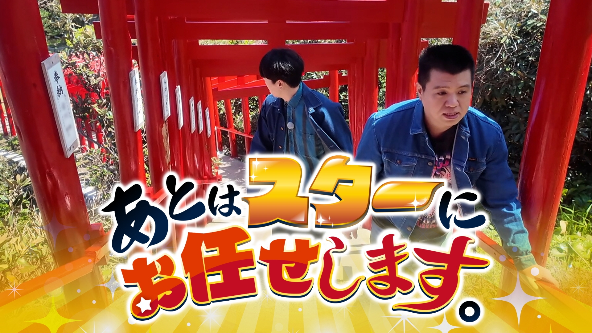 無料テレビであとはスターにお任せします。を視聴する