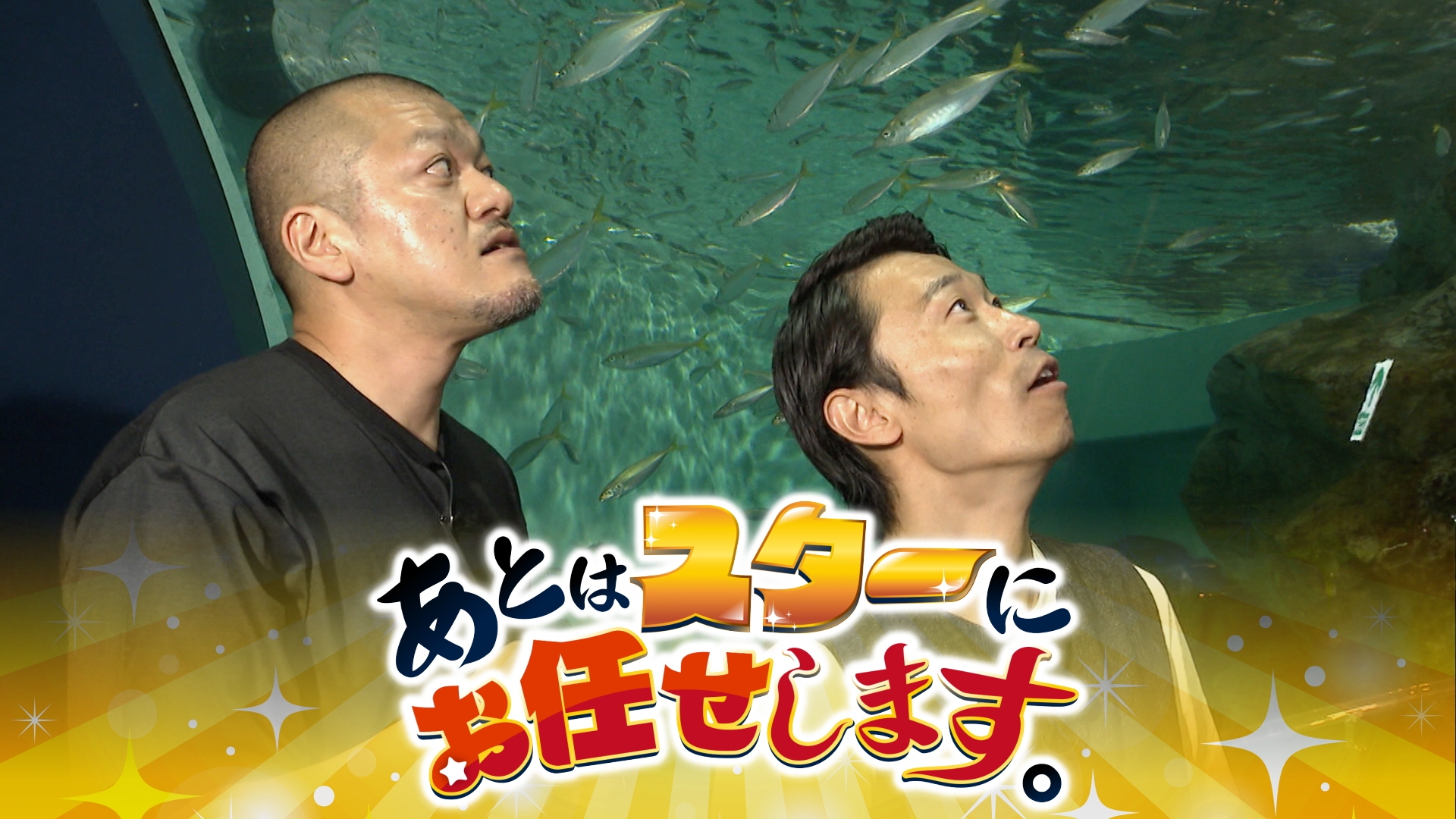 無料テレビであとはスターにお任せします。を視聴する