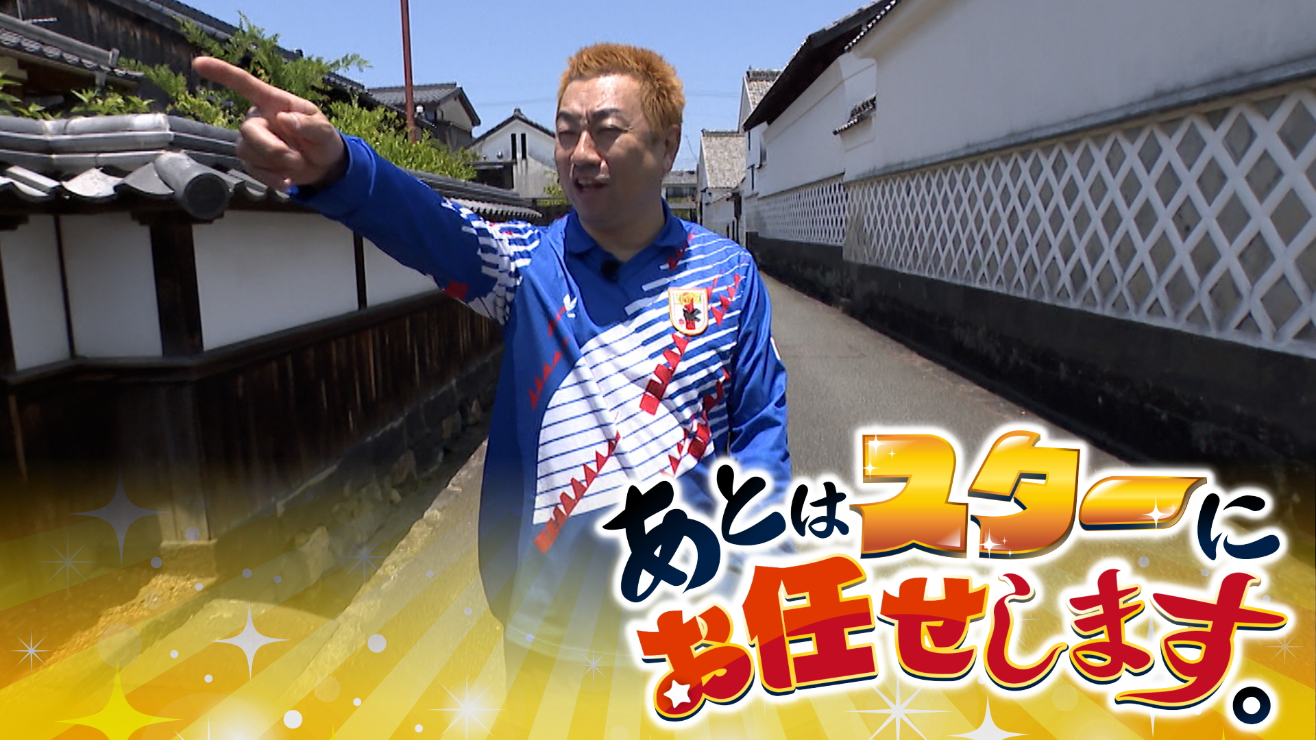無料テレビであとはスターにお任せします。を視聴する