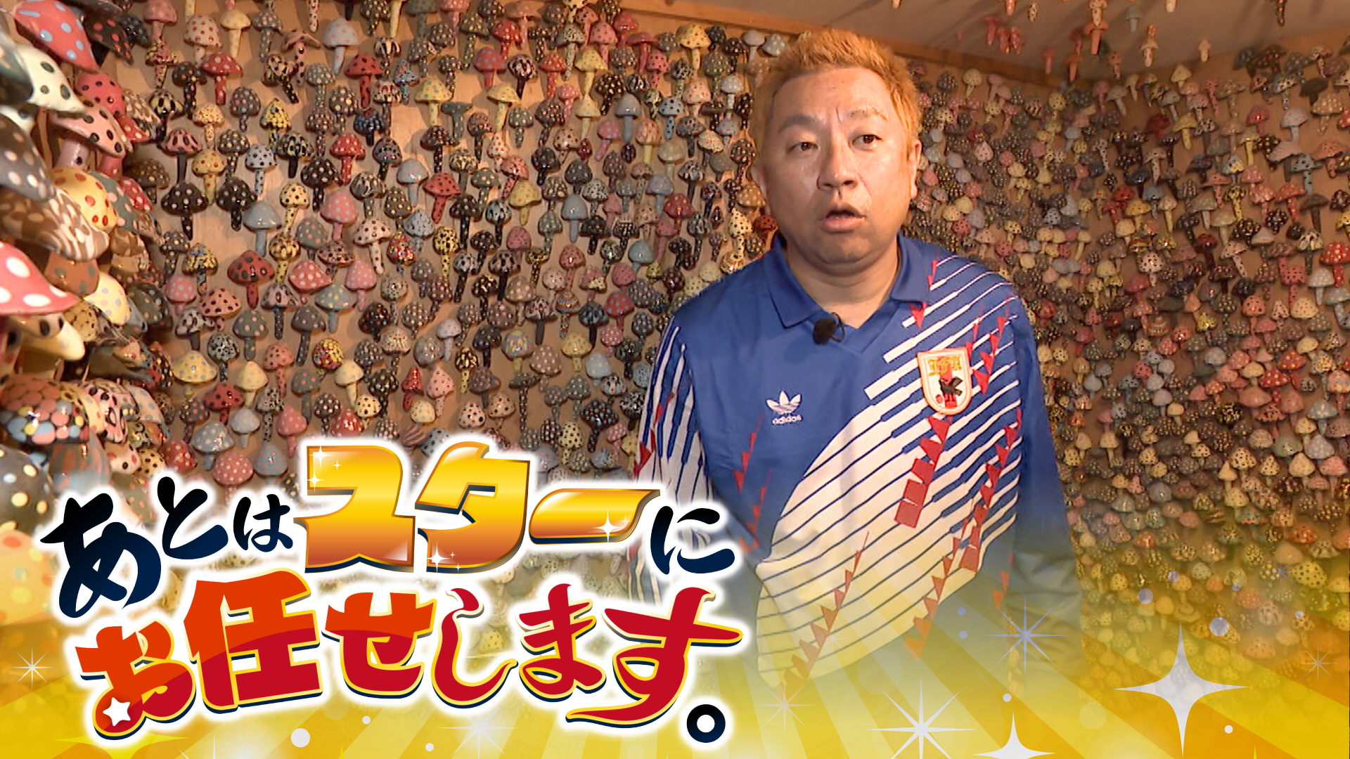 無料テレビであとはスターにお任せします。を視聴する