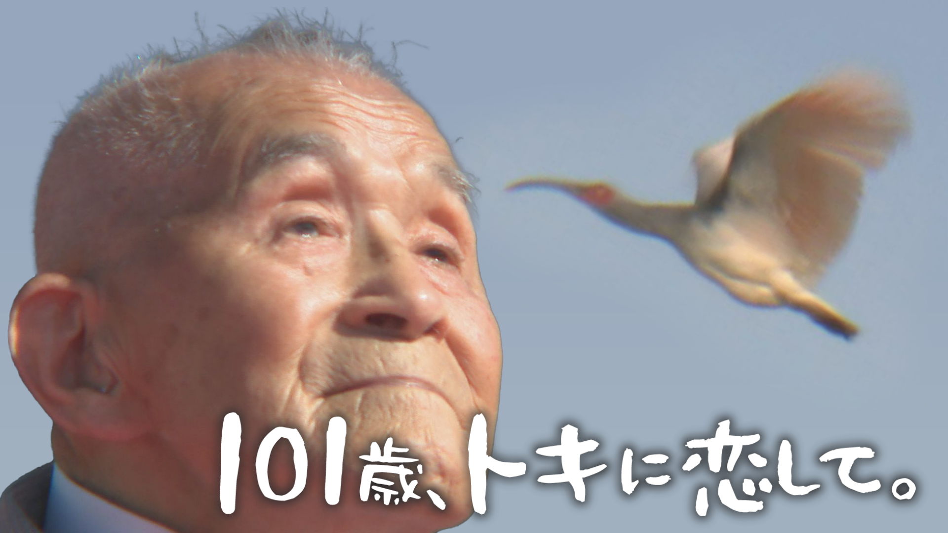無料テレビで101歳、トキに恋して。を視聴する